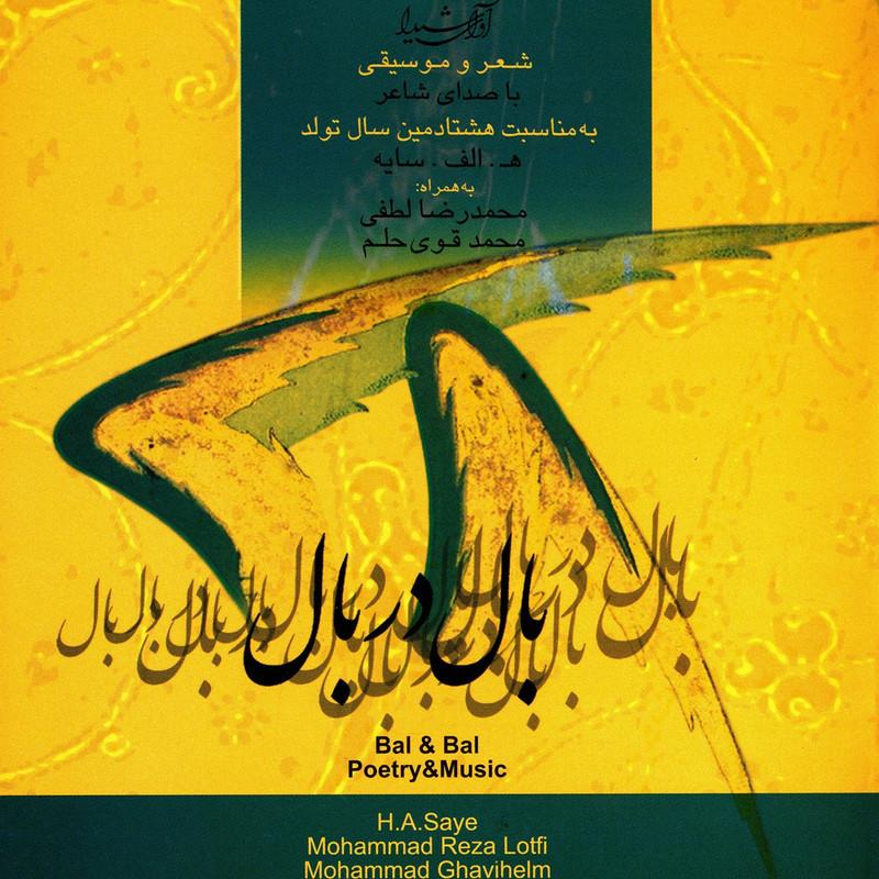 بال در بال