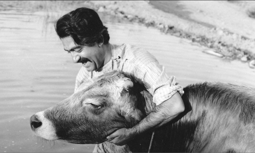 عزت الله انتظامی-  فیلم گاو عزت الله انتظامی-  فیلم گاو