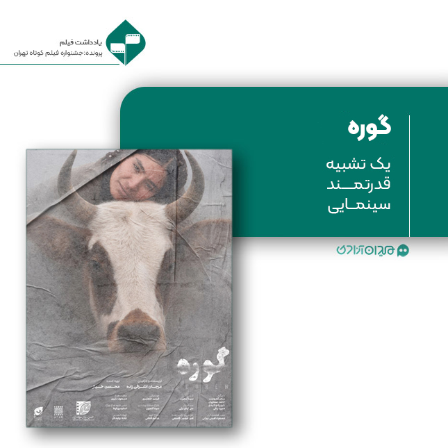 ریویو: نقد و نظری به فیلم کوتاه «گوره» ساختۀ «مرجان اشرفی‌زاده»