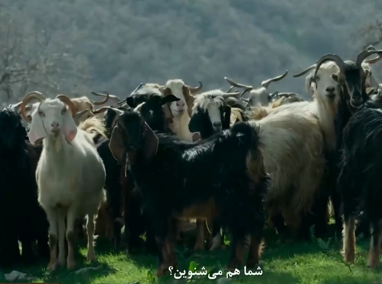 سکانسی از اپیزود «شکار اجدادی»، از سریال «سرو، سپید، سرخ»، ساختۀ «محمود کریمی»